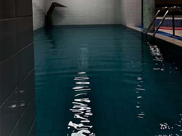 Piscine Intérieure